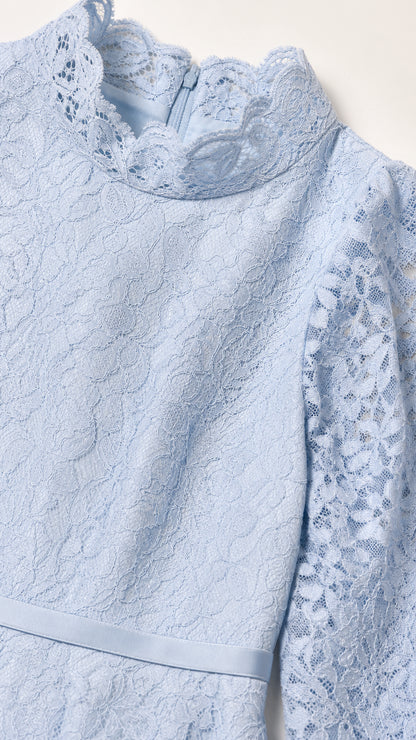 Close-up detail of high scalloped neckline and intricate lace pattern